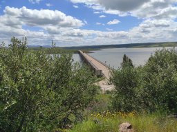 Flora del Cerro Masatrigo